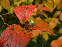 2011-10-31_14-51-00_0011