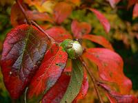 2011-10-31_14-56-37_0026