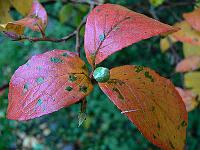 2011-10-31_15-02-03_0049