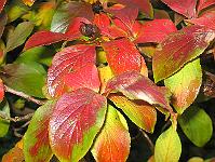 26-10-05canon_025