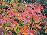 27-10-05canon_002