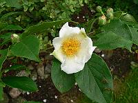 29-06-2006_13-02-50_48