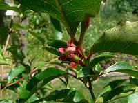 2010-07-07_12-25-27_0020