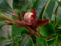 2010-07-08_08-18-15_0007