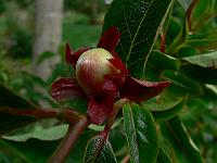 2010-07-08_08-18-45_0014