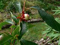 2010-07-09_08-54-55_0136