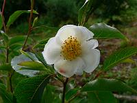 2010-07-11_07-30-51_0009