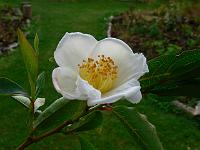 2010-07-11_07-31-12_0010