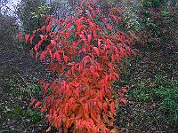 2011-11-02_10-18-08_0090