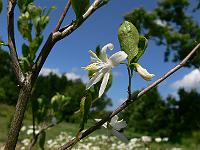 2010-07-07_12-57-28_0047