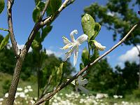 2010-07-07_12-57-35_0049