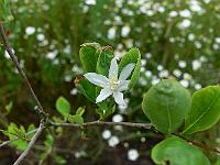 2010-07-11_08-32-27_0037