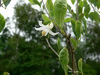 2010-07-13_07-57-42_0030