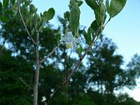 2010-07-13_19-48-53_0039