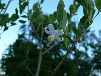 2010-07-13_19-49-01_0040