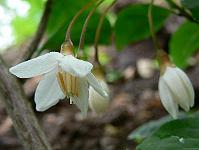 2009-06-10_14-35-52_0082