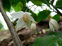 2009-06-10_14-36-23_0090
