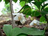 2009-06-11_09-22-42_0120