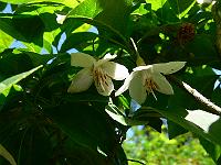 2009-06-15_11-42-55_0031