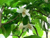 2009-06-16_08-30-26_0036