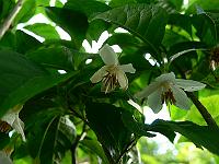 2009-06-17_07-34-00_0067