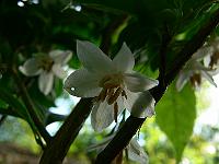 2009-06-17_07-34-11_0070