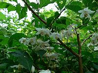 2010-07-03_09-40-50_0036