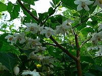 2010-07-03_09-41-03_0039