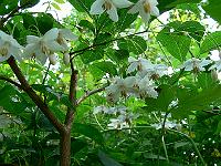 2010-07-03_09-41-13_0042
