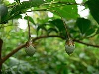 2010-08-12_09-59-32_0036