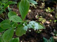 2010-06-20_08-23-09_0028