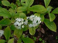 2010-06-22_07-13-48_0029