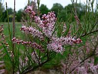 2010-06-08_08-57-50_0082