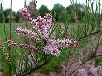 2010-06-08_08-57-51_0084