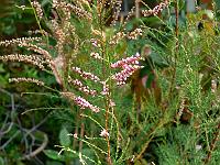 02-08-2007_20-02-21_19