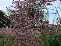 2008-08-08_09-35-19_0023