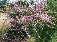 2008-08-16_08-52-00_0001