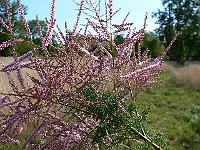 2008-08-16_08-52-00_0004