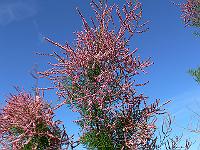 2010-09-21_08-58-38_0070