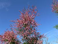 2010-09-21_08-58-44_0073
