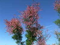 2010-09-21_08-59-23_0085