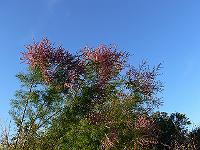 2010-09-21_17-23-06_0025