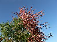 2010-09-21_17-23-37_0034