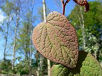 2009-05-10_09-15-24_0070