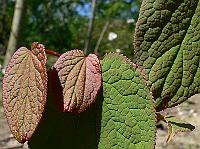 2009-05-10_10-35-24_0101