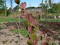 2011-05-03_11-41-12_0093