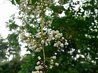 2011-08-24_08-52-16_0002