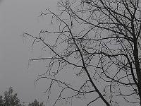 2011-11-02_10-23-16_0101