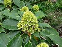 23-05-2006_18-31-05_145
