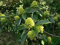23-05-2006_18-32-05_160